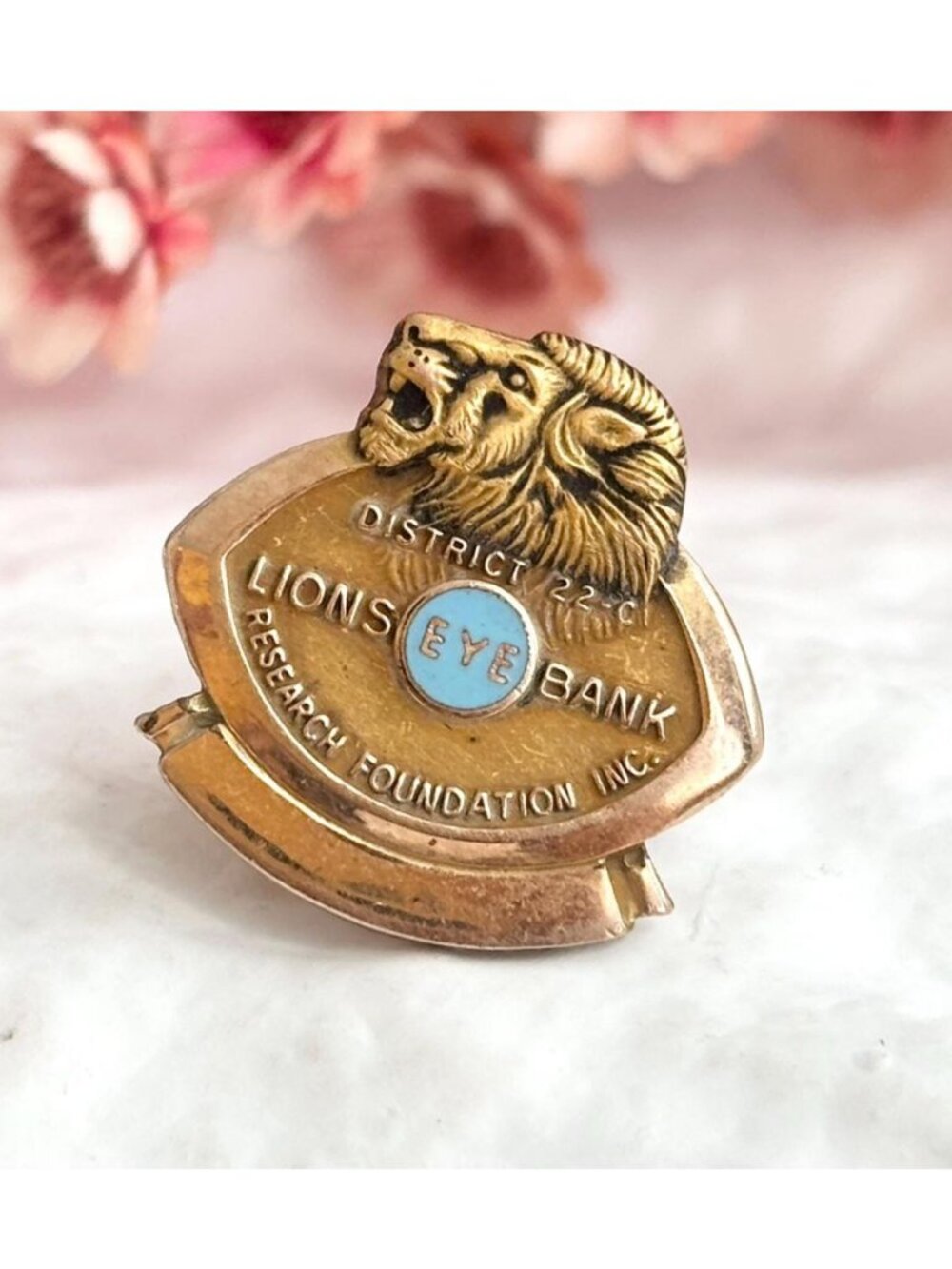 Lion's Eye Bank Research Foundation District 22C 10k Gold Field Vintage Pin